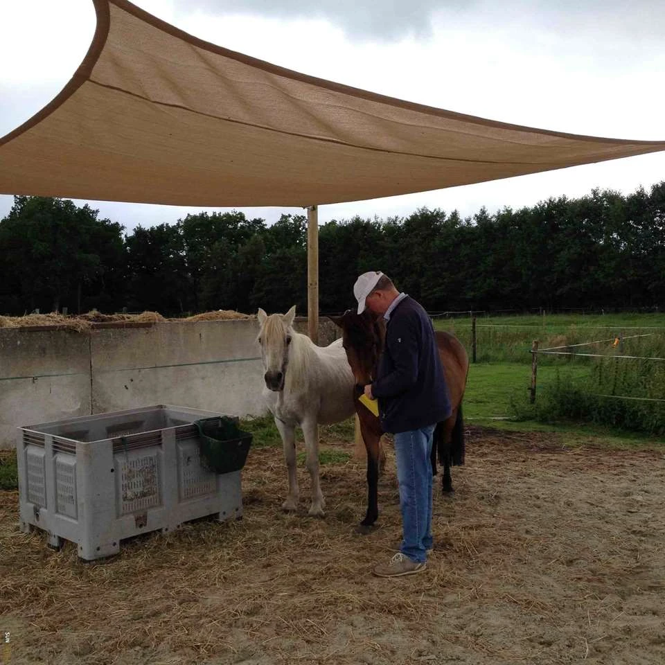 Sunfighters Rechthoek 3,5x5 Zand - Afbeelding 4